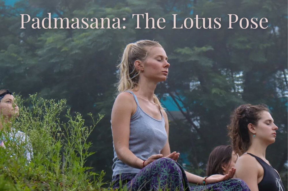 Padmasana: The Lotus Pose